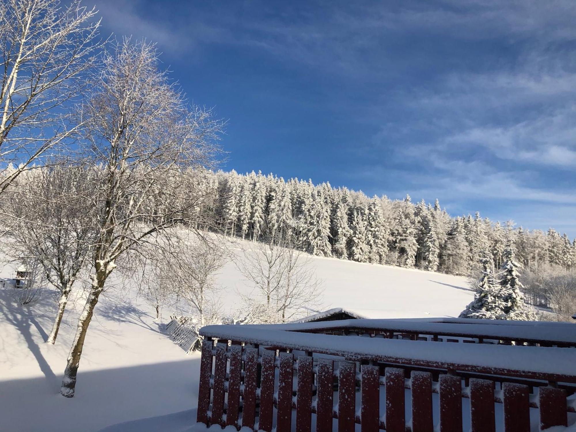 Berghaus Winterberg Hotel Buitenkant foto